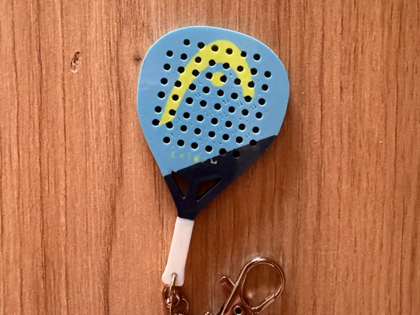 https://makerworld.bblmw.com/makerworld/model/DSM00000002944585/design/3e40dace568d0aa7.png