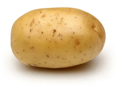 Potato