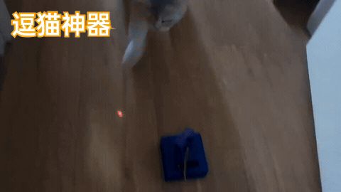 逗猫神器 激光云台 创客小发明