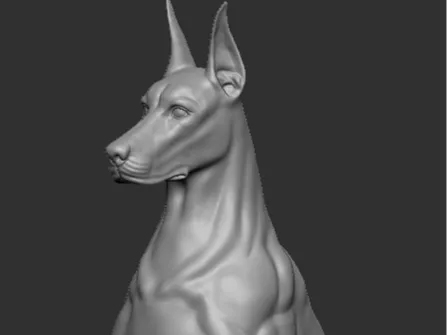 杜宾犬