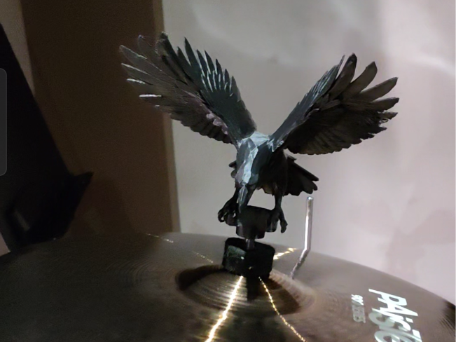 eagle cymbal wing nut raven
