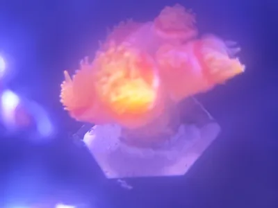 Hexagonal magnetic coral base