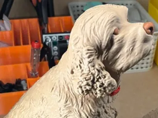 Hondje