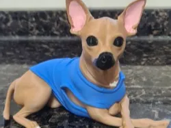 perro chiguagua, diferentes modelos