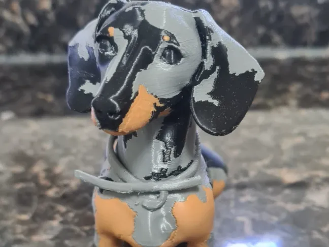 perro salchicha
