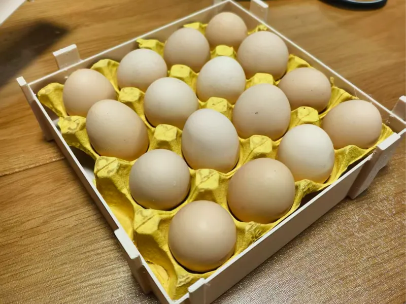 装鸡蛋的盒子