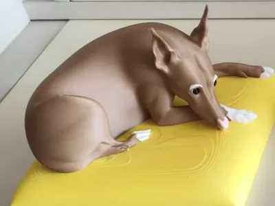 Podenco Dog