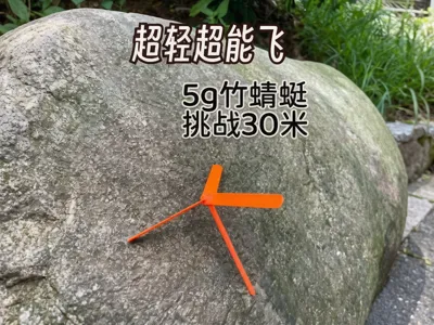 5g Bamboo Copter: Ultra-light, Super Flying
