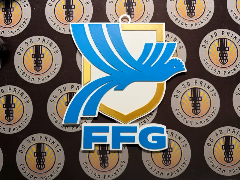 FFG Guatemala Soccer