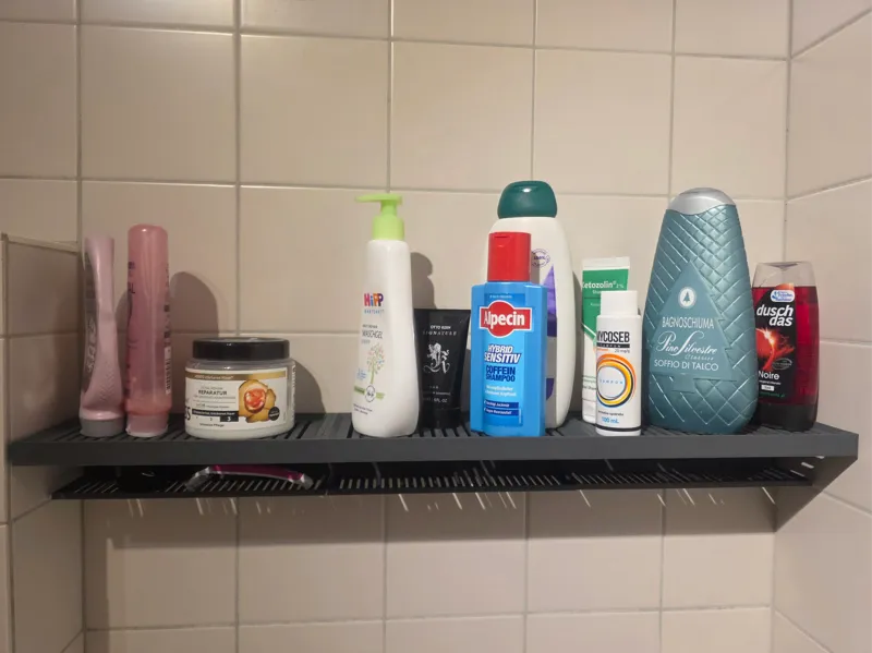 Modular Shower Shelf