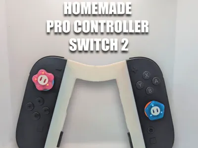 Switch 2 Homemade Pro Controller