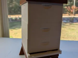 Bee Hive