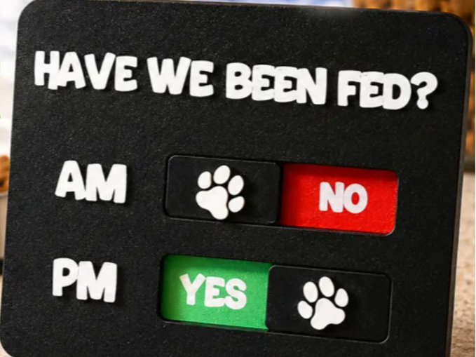 Pet feeding reminder.