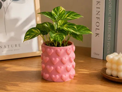 heart pot