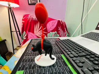 Flying cat