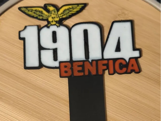 Benfica 1904 Separador Livro 