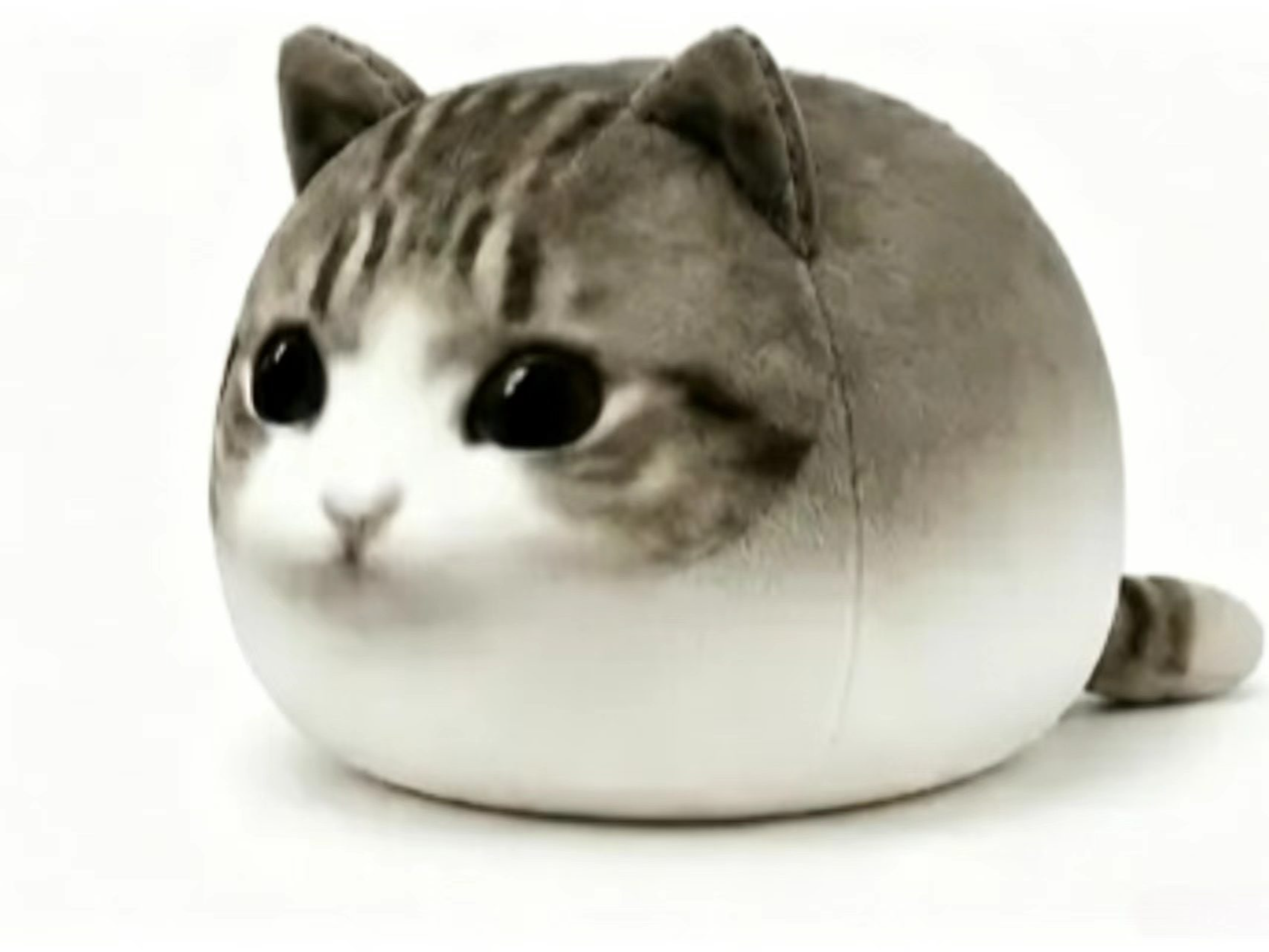 被生活磨平棱角小猫 妙脆角小猫 OMG小猫手办 抖音同款