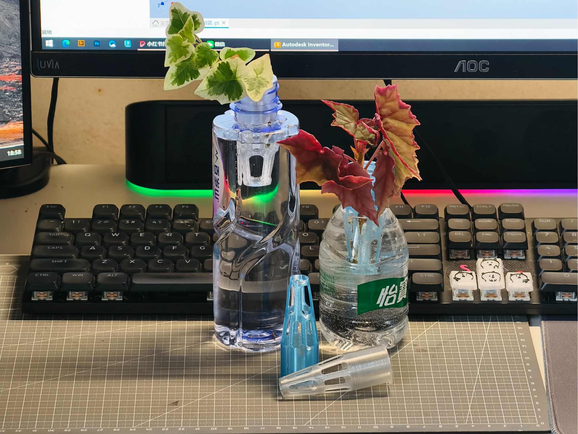 矿泉水瓶水培植物扦插定植篮