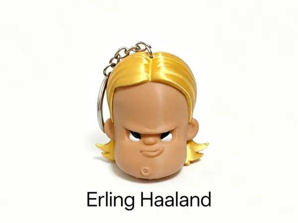 https://makerworld.bblmw.com/makerworld/model/DSM00000002971699/design/e9553bec8903d687.png
