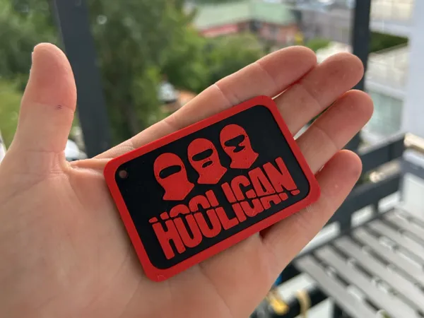 https://makerworld.bblmw.com/makerworld/model/DSM00000002972711/design/2c44c52fd49d0f57.jpeg