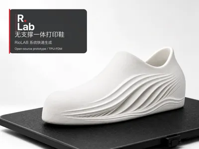 WZC1 no supports Print in Place shoe｜RioLAB System Generated Prototype