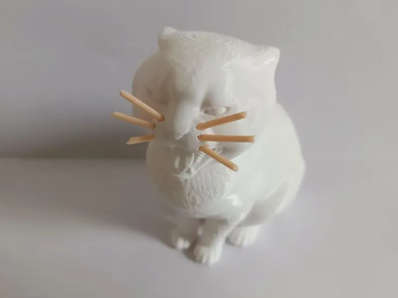 哈基米~圆头耄耋猫