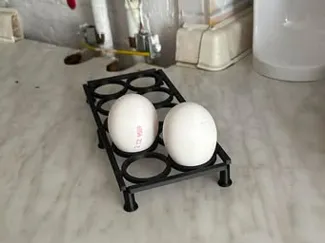 Egg holder