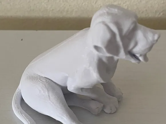Labrador_Teddy