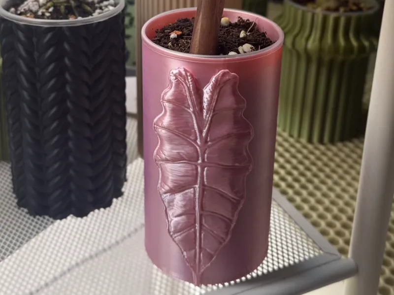 Chantrieri plant pot
