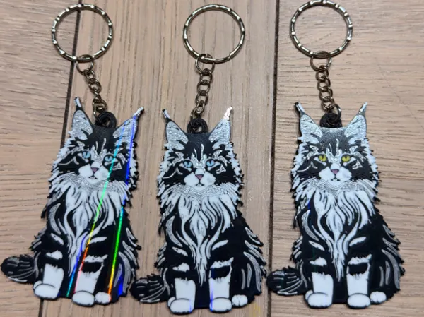 https://makerworld.bblmw.com/makerworld/model/DSM00000002974874/design/2aae4e64feeba611.jpg