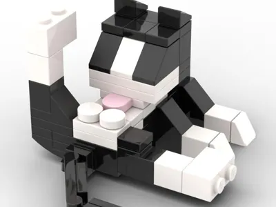 Cat licks its belly