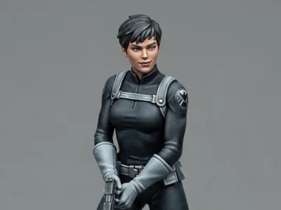Agent Maria Hill