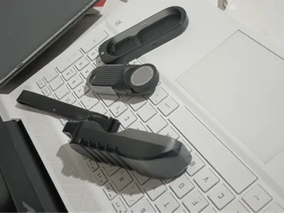 NEORULERGO Case