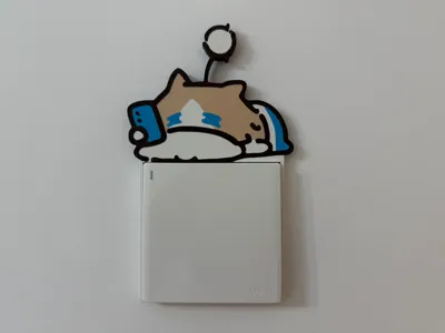 Yuexinmiao Switch Panel 2
