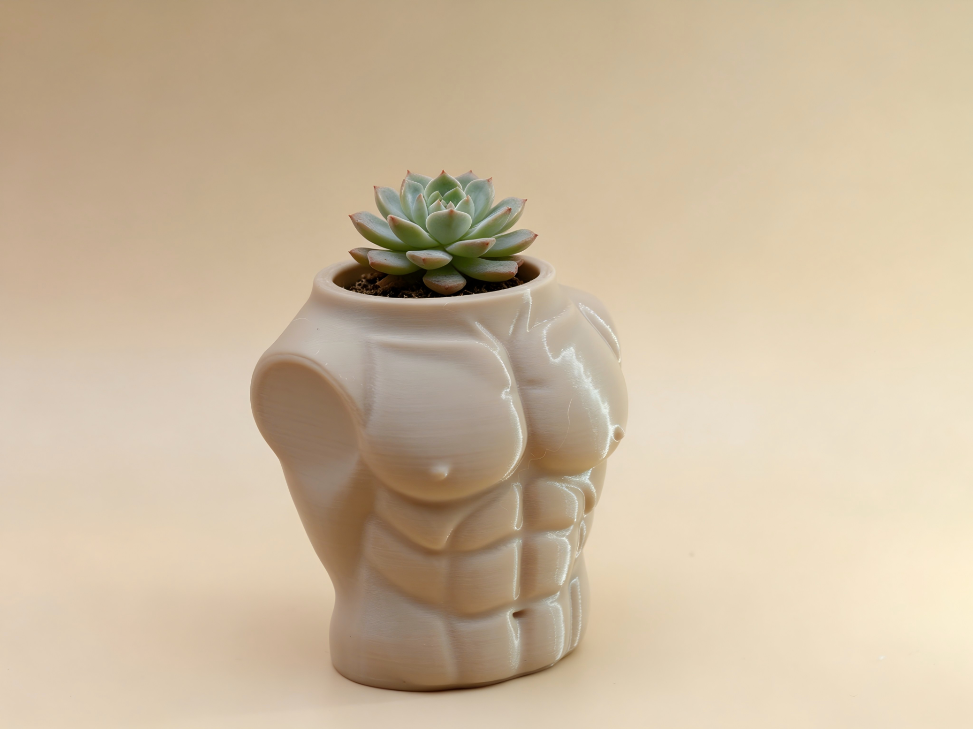 腹肌花盆/笔筒