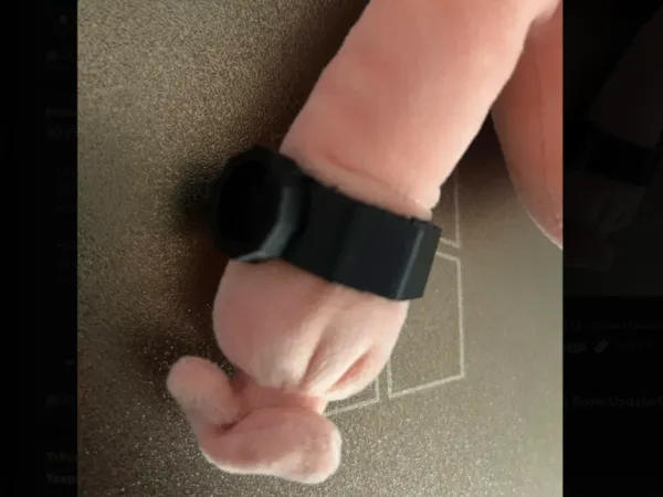 https://makerworld.bblmw.com/makerworld/model/DSM00000002979723/design/34c6e2f0a22e5059.png