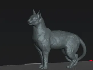 Cat standing