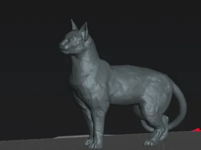 Cat standing