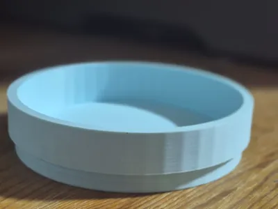 Cat food holder
