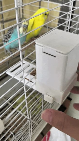 一键取放，快拆式鹦鹉喂食器