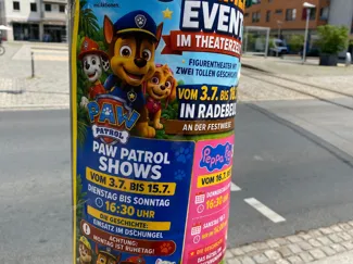 Meins