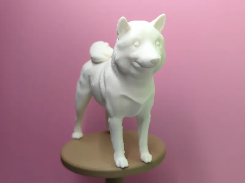 呆瓜柴犬【倒立打印】