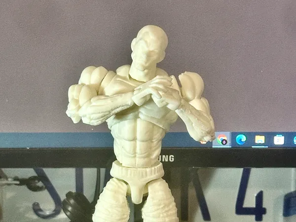 https://makerworld.bblmw.com/makerworld/model/DSM00000002983599/design/3e521af3edf10336.jpg