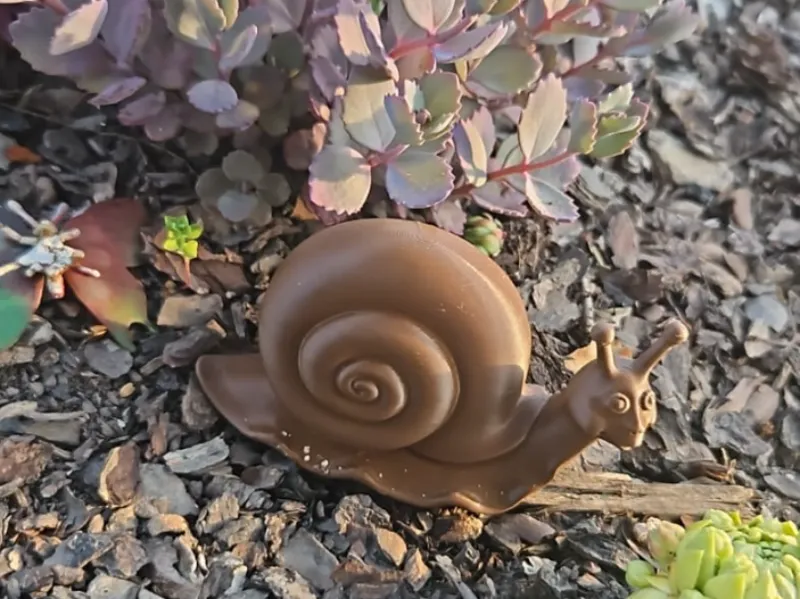 snail