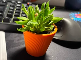 Mini Vase