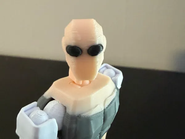 https://makerworld.bblmw.com/makerworld/model/DSM00000002987426/design/7309f13ec5218123.jpeg