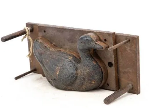 mold duck