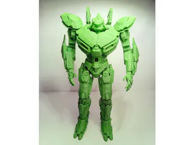 Pacific rim