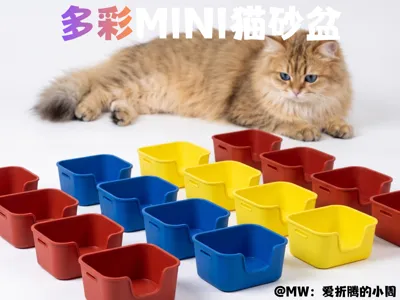 Colorful Mini Cat Litter Box