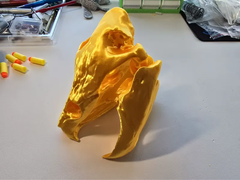 可开合鳄龟头骨